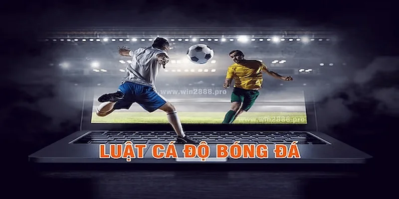 kinh nghiệm chơi cá độ bóng đá